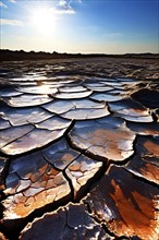 Aerial perspective of a salt and clay pan revealing the intricate patterns of its broken surface,