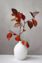 White vase with tree branch with red autumn leaves. Generative Ai, AI generated