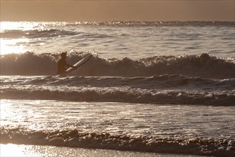 Surfer in the surf at Unnstad beach, winter surfing, Lofoten Island Vestvågøya Lofoten, Northern