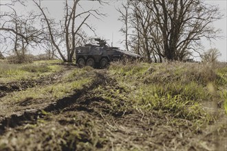 Armoured Boxer transport vehicle of the German Armed Forces stands in a forest on the Elbe as part