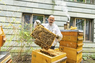 Jens Ardelt hiving a beehive. Since the beginning of 2023, 500, 000 new employees have been working