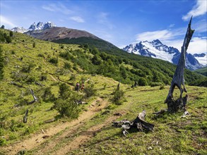 Hiker on trail to lagoon below Cerro Castillo mountain, Reserva Nacional Cerro Castillo, east of