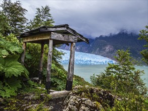 Viewpoint near San Rafael glacier snout, rain forest, San Rafael lagoon, national park, Aysen