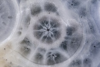 Aerial view of ice formations on a frozen lake, winter, Riegsee, Alpine foothills, Upper Bavaria,