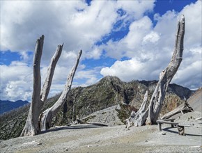 Ash covered slopes of the volcano Chaiten, dead trees of the eruption of 2008, at end of hiking