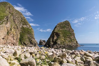 Bullers of Buchan, Aberdeenshire, Scotland, Great Britain