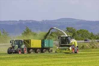 A Claas Jaguar 940 forage harvester at Grasmad in a field near Bannewitz, Bannewitz, Saxony,