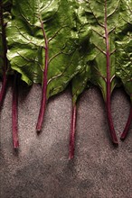 Fresh, green leaves, stem with beet leaves, on the table, top view, rustic, no people