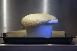 Overflowing bread dough in a baking tin shows the fermentation process in the kitchen