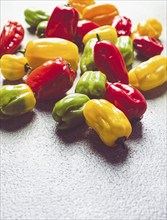 Habanero pepper, color mix, raw, vegetable, top view, no people