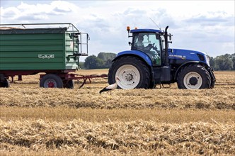 Neulewin, 11.08.14, A tractor drives past a stork in a field, Neulewin, 11.08.2014., Neulewin,