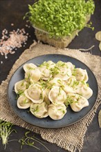 Dumplings with pepper, salt, herbs, microgreen on black concrete background and linen textile. Side