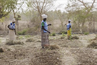 Preparation of fields by farmers during organic farming at the agroecological training centre