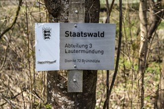 Symbolic image of the state forest concept using the example of the signposting for such a forest