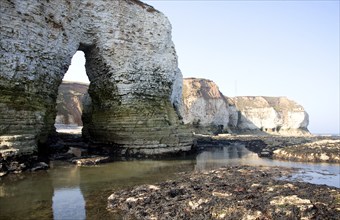 Coastal scenery at Flamborough Head, Yorkshire, England, United Kingdom, Europe