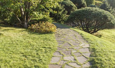 Cottage garden with green lawn, trees, hedges, trimmed bushes and large mountain pines. Modern