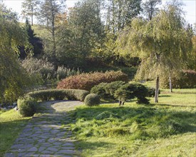 Cottage garden with topiary, hedges, trimmed bushes. Modern landscape design