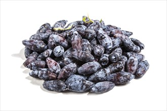 Pile of Blue honeysuckle (Lonicera caerulea) or Haskap berry isolated on white background. Closeup