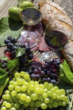 Symbolic image of grape grape harvest: Ripe grapes decorated with wine glasses on a wooden table