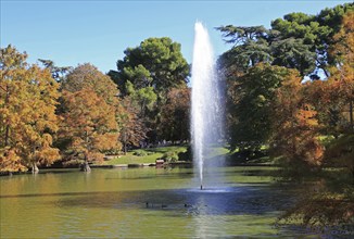 Water fountain in pond lake by Crystal Palace, El Retiro park, Madrid, Spain, Europe