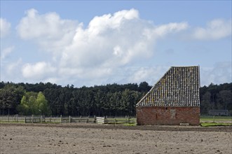 Schapenboet, building for the storage of hay, Texel, the Netherlands