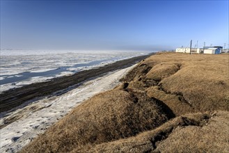 Thawing permafrost on the Arctic coast, climate change, pack ice, Barrow, Beaufort Sea, Alaska,