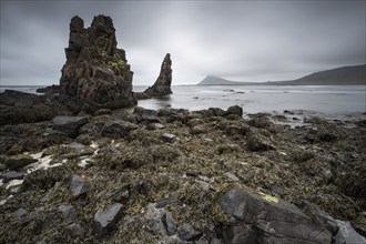 Striking rocks on the coast, Reykjarfjörður, Strandir, Árnes, Westfjords, Iceland, Europe