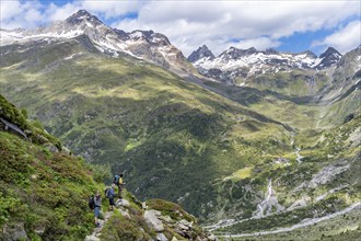 Three mountaineers on hiking trail in front of picturesque mountain landscape with blooming alpine