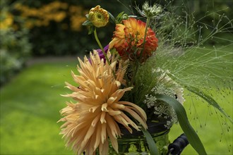 Small bouquet of flowers with dahlias, Münsterland, North Rhine-Westphalia, Germany, Europe