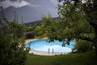 Swimming pool, Swimming pool, Garden, Vineyards, Vines, Scena, Scena, South Tyrol, Autonomous