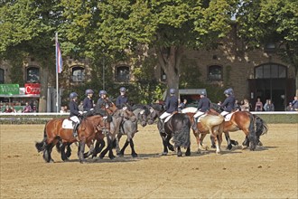 Warendorf State Stud, stallion parade, cold-blooded quadrille