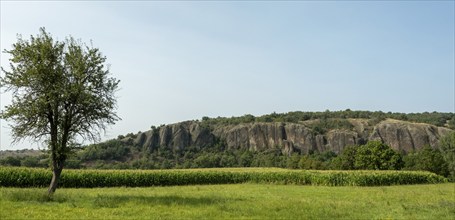 Blot volcanic cliff in Haute-Loire near Chilhac, nestled in scenic Auvergne-Rhône-Alpes, France,