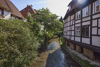 Historic half-timbered houses on the Salze river backlit in the town centre of Bad Salzuflen, Lippe