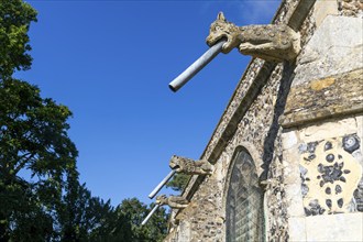 Historic gargoyles on exterior wall of church of Saint Peter, Theberton, Suffolk, England, UK