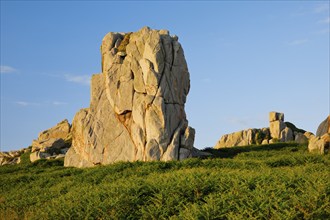 Large boulders in the evening light surrounded by ferns on the Pink Granite Coast in Brittany, Pors