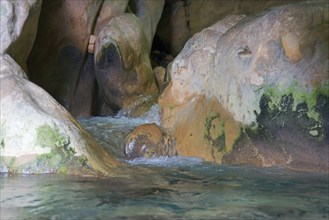 Water flows through a rocky cave with moss-covered stones, a peaceful and natural environment,