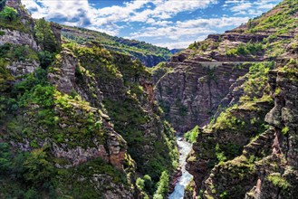 Canyon Gorges du Daluis with its red rocks, Département Alpes Maritimes, French Maritime Alps,