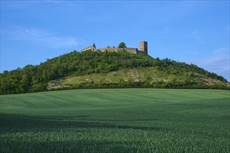 A castle ruin on a wooded hill under a blue sky with clouds, Gleichen Castle or Wanderslebener