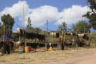 Lalibela, souvenir stall, cut horse tails to scare away flies, Ethiopia, Africa