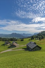 Bödele, landscape Bregrenzerwald, alpine farming, farms, alpine view, forest, paths, Vorarlberg,