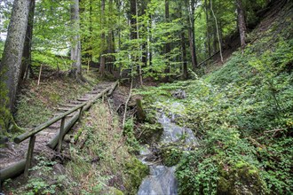 Klammweg, Missen, Oberallgäu, Allgäu, Bavaria, Germany, Europe