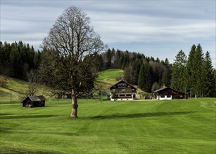 Cafe Restaurant Gebrgoibe, Oberstdorf golf course, Oberallgäu, Allgäu, Bavaria, Germany, Europe