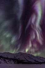 Green, yellow and purple northern lights (aurora borealis) over snowy mountains, northern lights