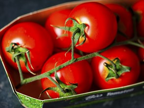 Close-up, ripe red organic vine tomatoes with green stalks in packaging tray