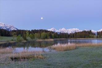 Hegratsrieder See near Füssen, Allgäu Alps, snow, moon, dawn, Allgäu, Bavaria, Germany, Europe