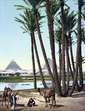 Cairo, Palms, Bedouins and Pyramids, Historical, digitally restored reproduction from a 19th