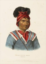 Foke-Luste-Hajo. A Seminole (1842), Indians, Historical Indian tribes from North America, Charles