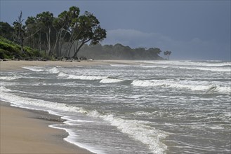 Petit Loango beach, Loango National Park, Parc National de Loango, Ogooué-Maritime Province, Gabon,