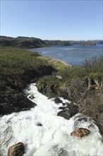 Waterfall flowing into a fjord, Lapland, Norway, Scandinavia, Europe