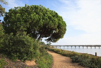 Pargue Natural Ria Formosa between Faro and Tavira, Algarve, Portugal, Europe